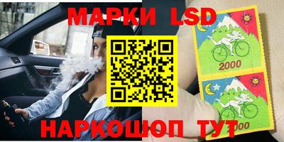 гидра Заводоуковск