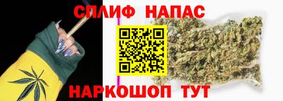 прущие крисы Кингисепп