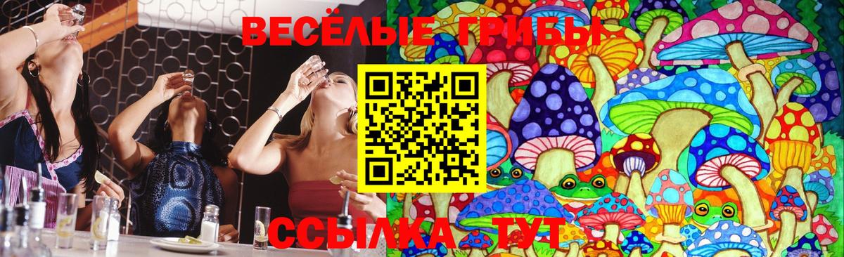 где продают наркотики  Псилоцибиновые грибы Cubensis  Салехард  Вход с VPN  Галлюциногенные грибы мухоморы 